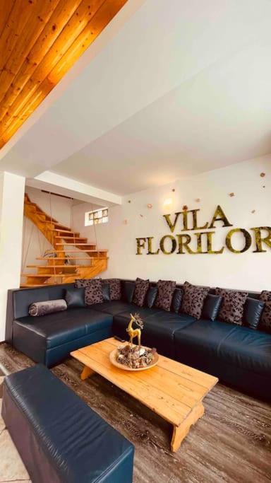 Vila Florilor Buşteni Eksteriør bilde